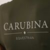 CADTOWN-OLIVE-LOGO