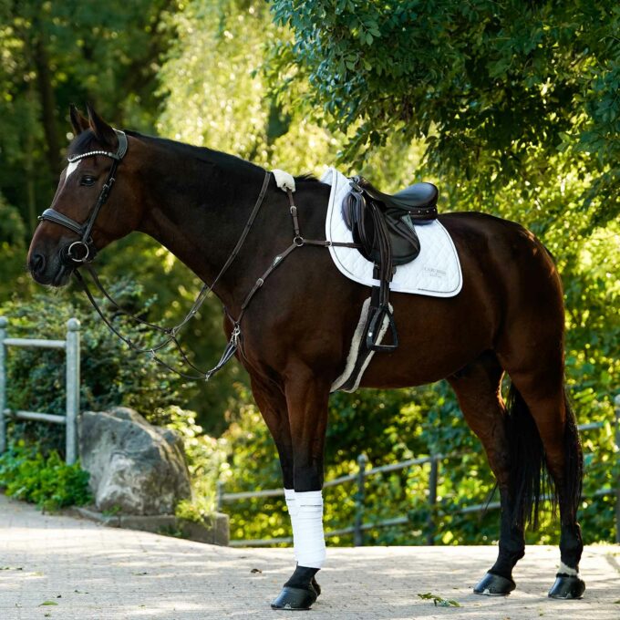 CASHELLY-JUMP-WHITE-Quadrat