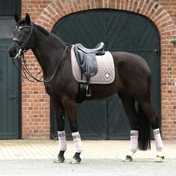 CAVELLY-WALNUTQuadrat