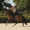CADTOWN-OLIVE-GLITTER4