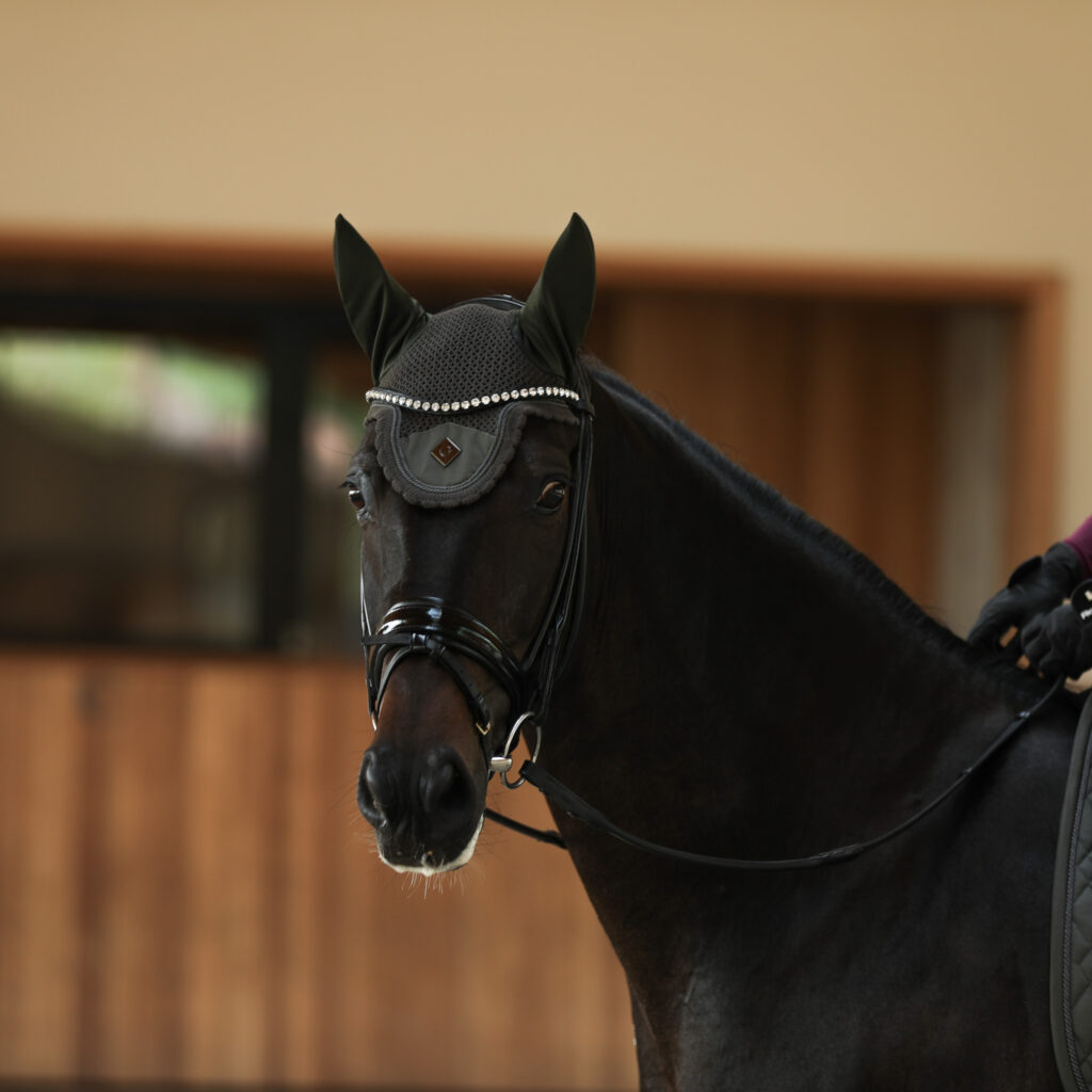 Fliegenhaube Archive - CARUBINA