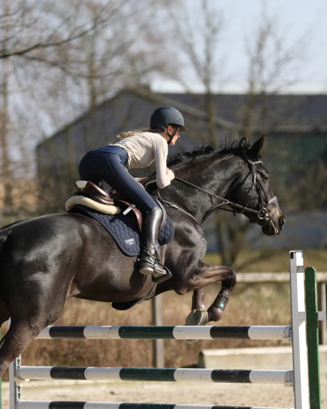 Dressed to ride, styled to shine - it's Sunday ☀️⁠
⁠
Get the look!⁠
👚: CAPORTO - Stone Glitter⁠
👖: CAROSIE - Navy⁠
Schabracke: Cashelly - Navy⁠
⁠
#carubina #carubinaequestrian #caporto #anthraglitter #glitter #sparkle #limitededition #equestrian #equestrianfashion #horsefashion #equestrianlifestyle #equestrianstyle #equestrianism #jumping #dressage