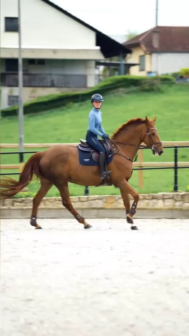 🩵 Fresh week, fresh colors - let’s ride into May 🩵
Do you like our new color SMOKEY BLUE? 
Get the look! 
👚: CAPORTO - Smokey Blue
👖: CAROSIE - Navy
Schabracke: Cashelly - Navy
#carubina #carubinaequestrian #equestrian #newin #caporto #newcolor #smokeyblue #equestrianfashion #horsefashion #equestrianlifestyle #equestrianstyle #equestrianism #dressage #dressagehorse⁠ #jumping #jumpinghorse